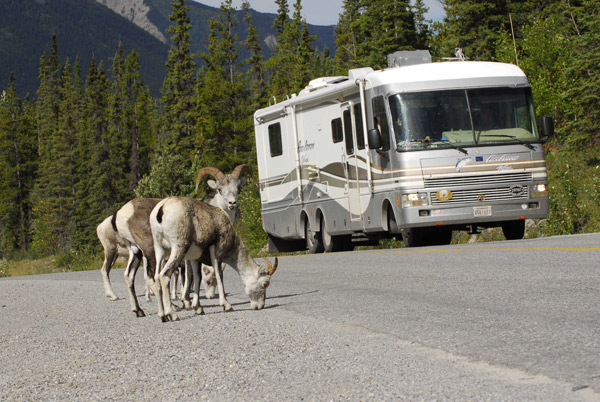 The Perfect RV for Perfect Camping